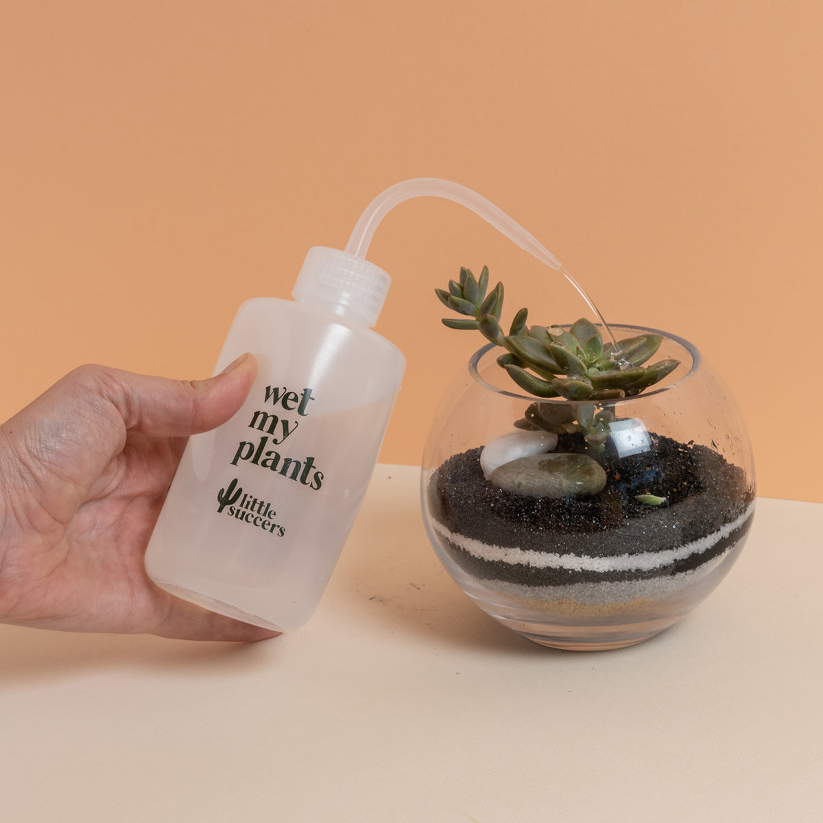 succulent water bottle Wet My Plants Water Bottle – Little Succers