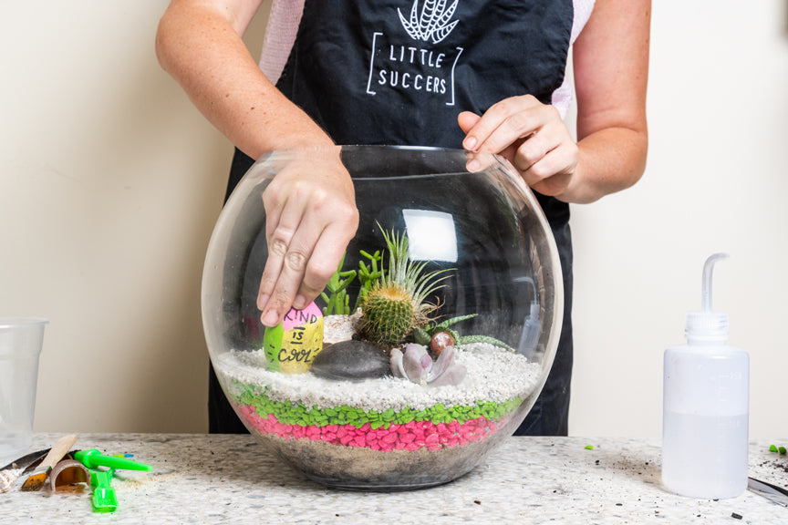All About Layering your Terrariums  Little Succers