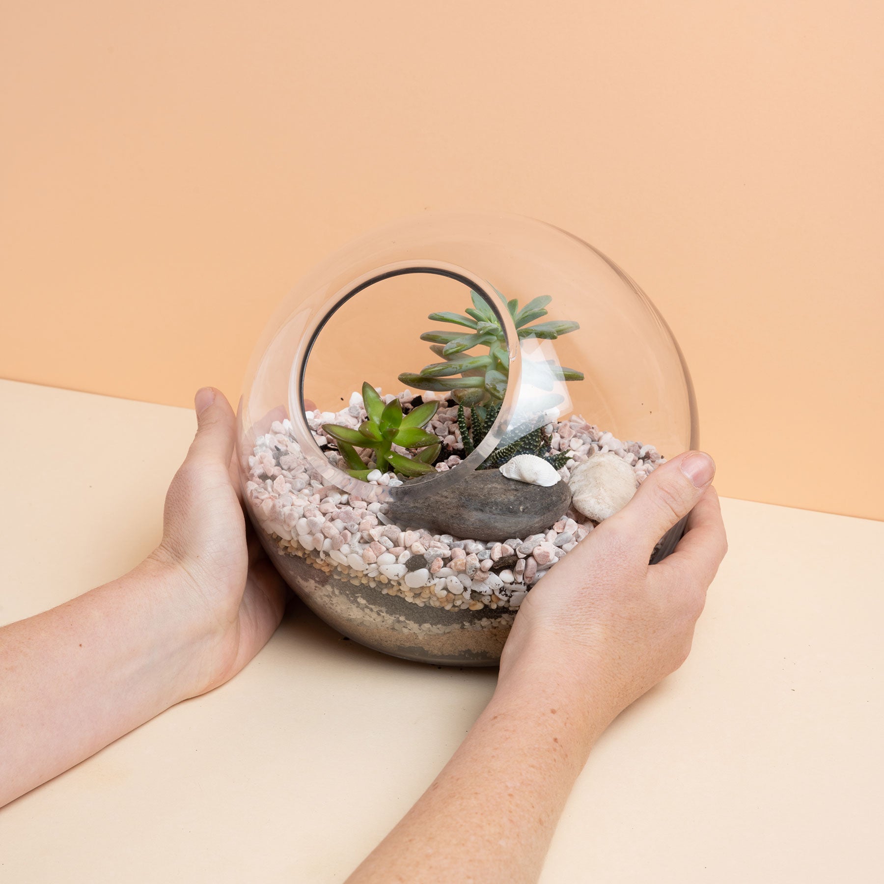 build your own succulent terrarium kit Build Your Own Terrarium Kit - Cut Out Fishbowl