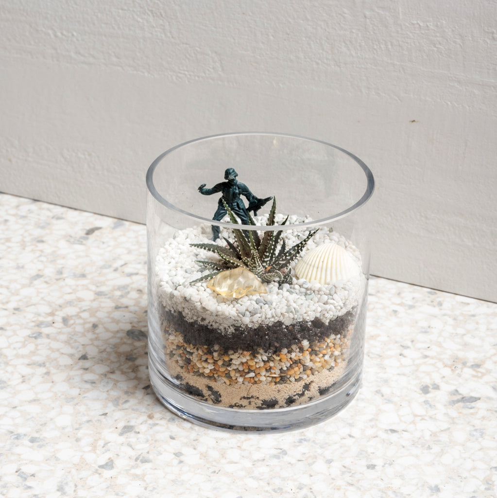 Succulent Terrarium Home Kit