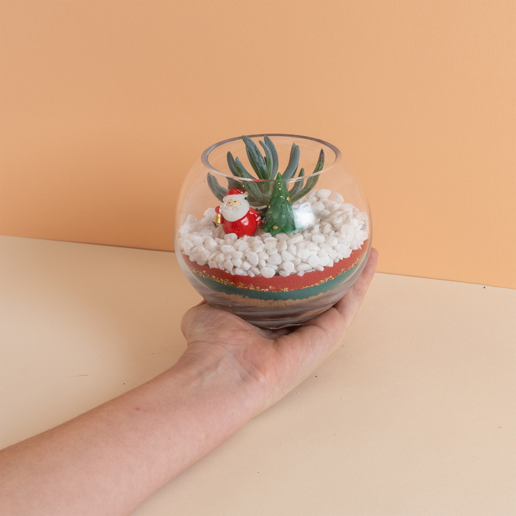 christmas succulent terrariums Plant Lady Christmas Gift Set – Little Succers