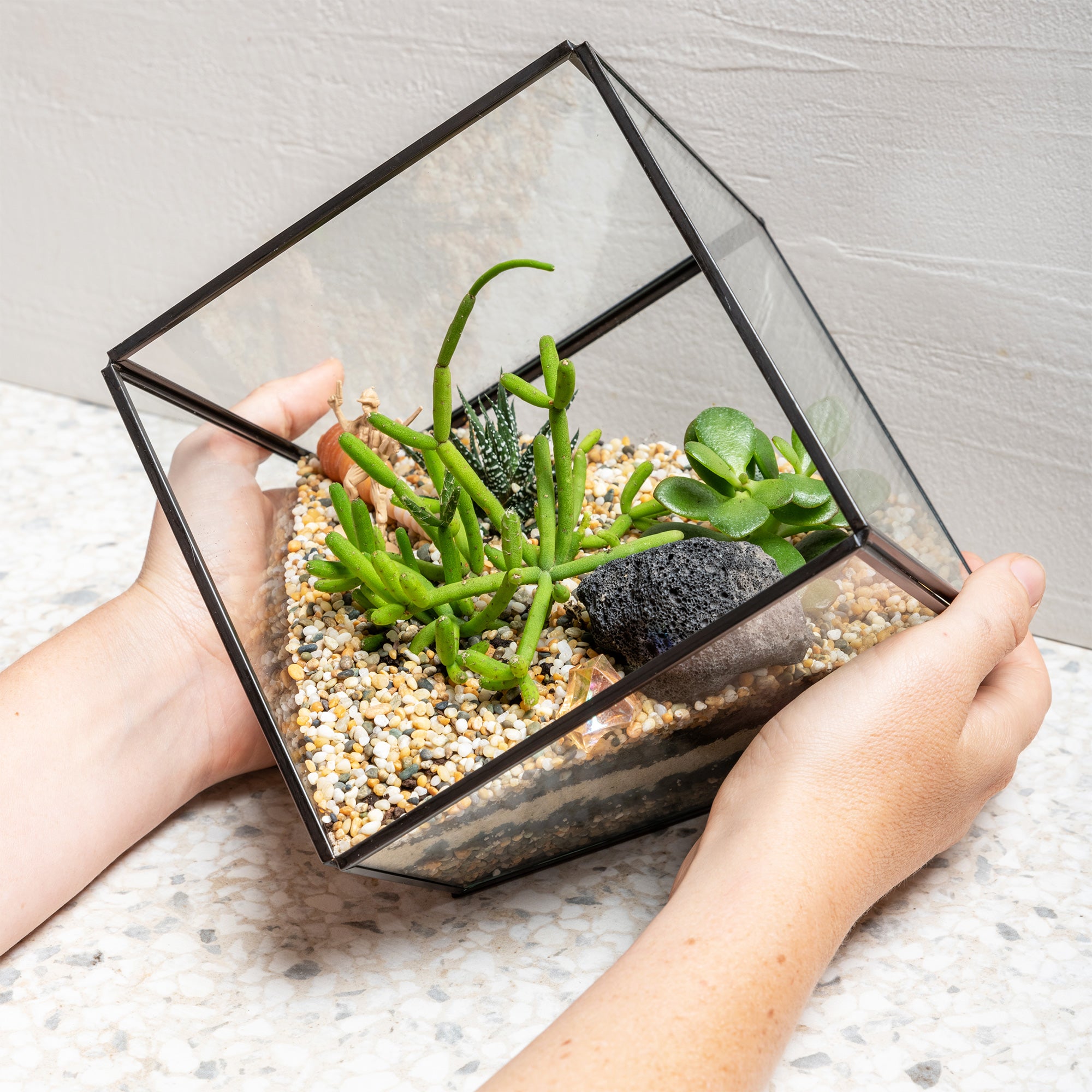 Terrarium Kit