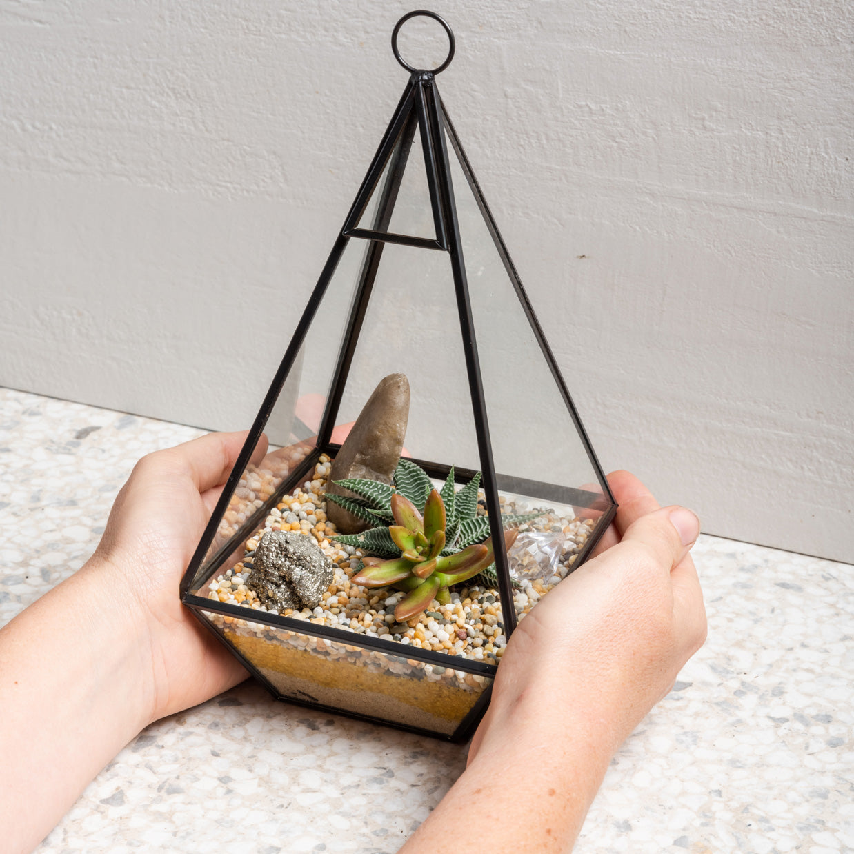plant terrarium kit Build Your Own Terrarium Kit