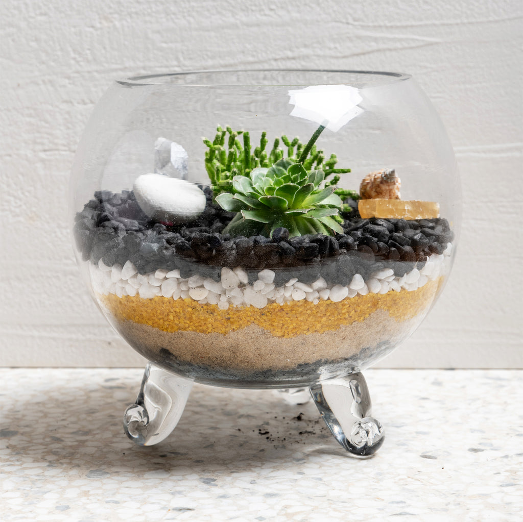 Succulent Terrarium Home Kit