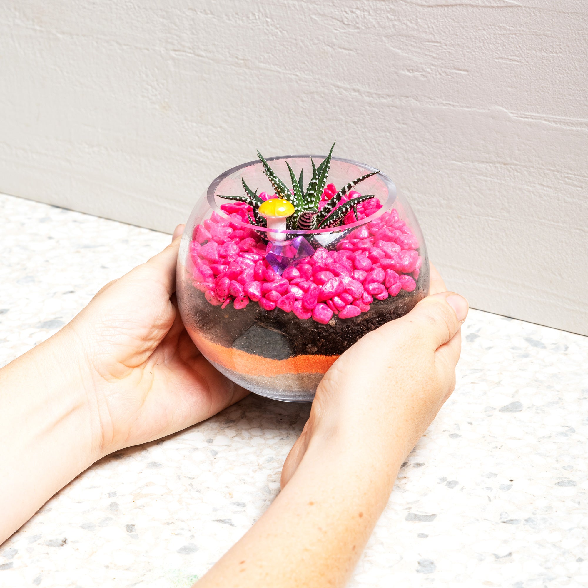 build your own succulent terrarium kit Build Your Own Terrarium Kit - Lil' Fishbowl